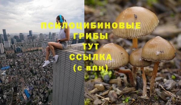 кристаллы Корсаков
