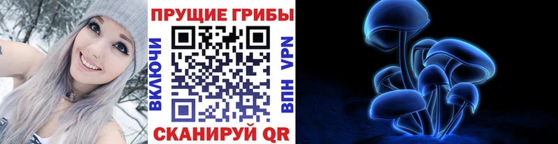 Купить закладки  Мелеуз  Псилоцибиновые грибы ЛСД 